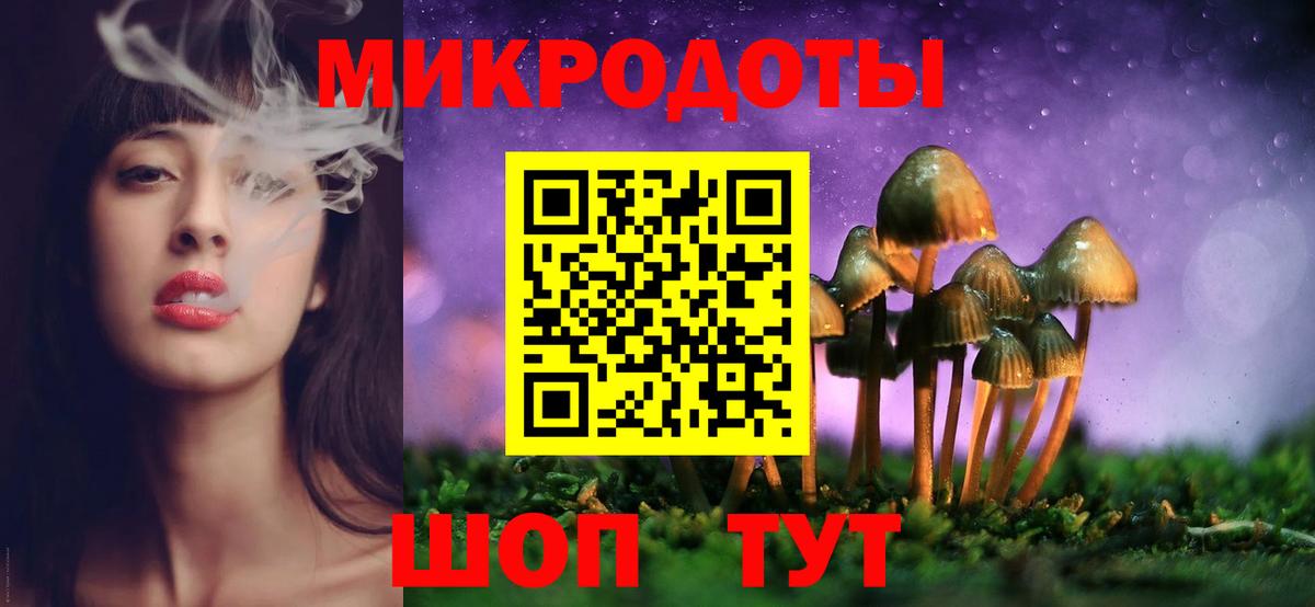Биробиджан  Псилоцибиновые грибы Psilocybe  Вход с VPN  Псилоцибиновые грибы мицелий 