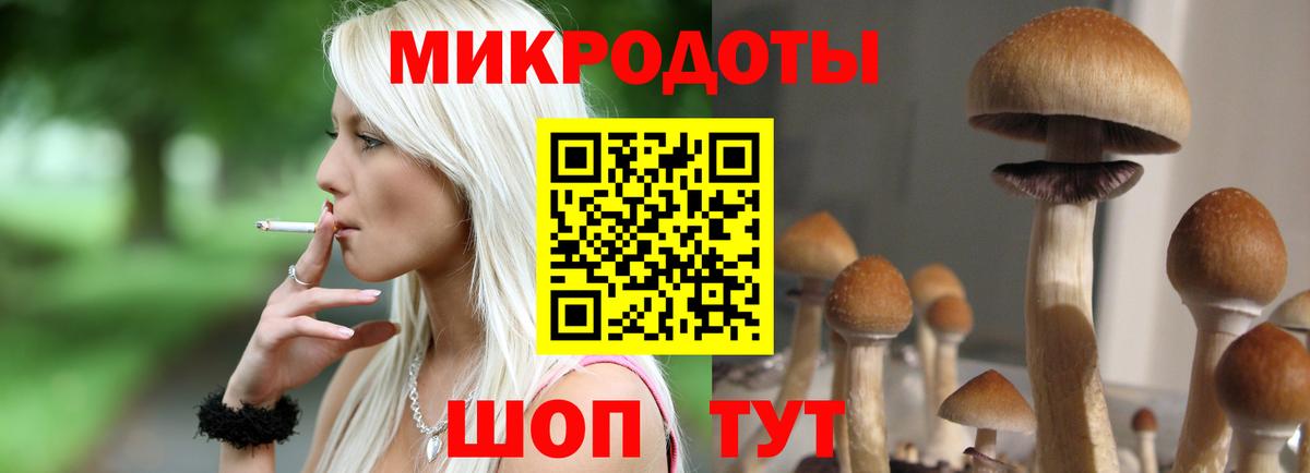 Псилоцибиновые грибы прущие грибы Биробиджан